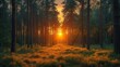 A pine tree forest at sunset, capturing the warm hues of the evening sky. AI generate illustration