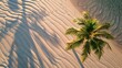 Aerial top view of palm tree, with long shadow falling on wind rippled sand 