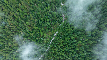 Wall Mural - Aerial view of beautiful high altitude forest mountain landscape