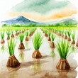 Uprawa ryżu ilustracja