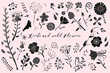 Botanical set hand drawn vector element. Collection of foliage, leaf branch, floral, flowers in line art. Minimal style blossom illustration design for logo, wedding, invitation, decor.