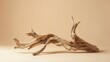 A dynamic driftwood piece displayed against a beige background