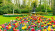 Windmill and tulips in flower garden in Keukenhof, Netherlands. Dutch style garden. The windmill stands next to a pond with tulips in the foreground. Creative ideas for original landscape design.