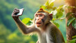 Monkey taking a selfie with smartphone, green sunny background.