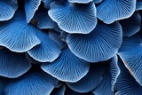 Fototapeta Londyn - Detailed Blue mushroom closeup background. Water glow. Generate Ai