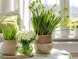 Home decor, spring flowers in apartment interior with bright light