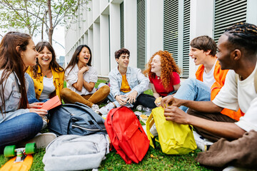 Wall Mural - Diverse group of university students sitting on grass at campus college. Youth and education concept.