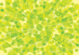 Fototapeta Nowy Jork - Spring sunburst. Explosion of green tints. Natural leaves concept. Abstract foliage. Hand drawn vector wallpaper II