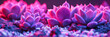 Colorful Spring Blossoms, Close-Up of Purple and Pink Flowers, Bright and Fresh Floral Beauty and Design