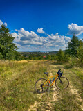 Fototapeta Na ścianę - Gravel bicycle in the city park on the summer season