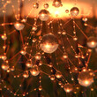 Surreal Dewdrop Spheres on Spider Web in Golden Sunrise Light