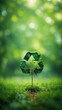 © Денис Богдан - recycle sign and tree against gentle green bokeh, promoting eco-friendly concepts, environmentally conscious atmosphere