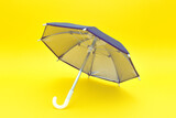 Fototapeta Dinusie - parapluie miniature