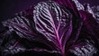Red cabbage leaves on a rich purple background, crunchy and vibrant purple cabbage.