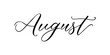 August - Handwritten inscription in calligraphic style on a white background. Vector illustration.