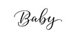 Baby - Handwritten inscription in calligraphic style on a white background. Vector illustration