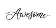 Awesome - Handwritten inscription in calligraphic style on a white background. Vector illustration.