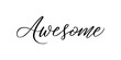 Awesome - Handwritten inscription in calligraphic style on a white background. Vector illustration.
