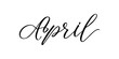 April - Handwritten inscription in calligraphic style on a white background. Vector illustration.