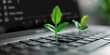 A small green plant growing on  keyboard, eco Technology 