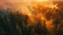 Aerial View Of A Forest On The Verge Of A Wildfire A Vivid Representation Of Heatwave Dangers Shot At Golden Hour