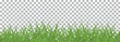 bright green realistic grass border isolated on transparent background. Green grass template copy space