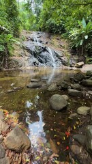 Wall Mural - Tranquil waterfall gently flowing into a forest pond, surrounded by green foliage and scattered autumn leaves