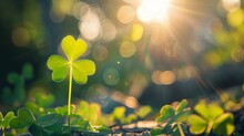 Clover Leaf In Lens Flare For Blurry Background