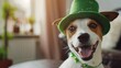 Cute dog with green hat at home St Patricks Day celebration