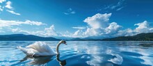 Swans In Serenity: Graceful Dance On A Mountain Mirrored Lake - Generative AI