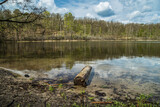 Fototapeta  - Jezioro Kociołek w Wielkopolskim Parku Narodowym
