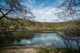 Fototapeta Tulipany - Jezioro Kociołek w Wielkopolskim Parku Narodowym