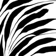 Abstract botanical background, black strokes on white background, square vector backdrop
