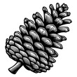 Detailed Pine Cone Engraving sketch PNG