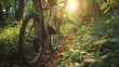 A person is riding a bicycle through a forest. The sun is shining brightly, casting a warm glow on the trees and the rider. The scene is peaceful and serene