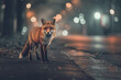 A fox is standing on a wet sidewalk in the rain
