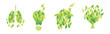 Green Leaf Symbol and Creative Ecology Sign Vector Set