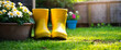 Yellow boots in the garden next to the flower beds.