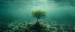 CRISPR-Enhanced Mangrove Roots Combat Rising Seas. Concept Climate Change, Genetic Engineering, Mangrove Forests, Ecological Resilience, CRISPR Technology
