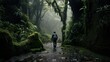 An atmospheric image of a lone hiker walking through a dense, misty forest on a dark, moody day