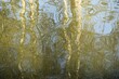 Abstraktes Motiv mit Spiegelung von Baumstämmen auf blauem Teichwasser bei Sonne am Morgen im Frühling