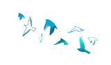 Fototapeta Młodzieżowe - A flock of blue watercolor flying birds. hand drawing. Not AI, Free birds abstraction. Vector illustration