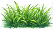 green grass sticker on white background