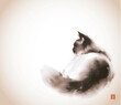 Ink painting of fluffy cat. Traditional Japanese ink wash painting sumi-e in vintage style. Hieroglyph - joy