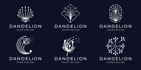 Brand and logo with dandelion plant silhouette, logotype of company Botany dandelion logo. Herbal leaves flowers vector illustrations for brand design.