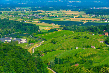 Aerial view of vineyards at Dolejnska region of Slovenia