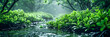 Peaceful Forest Stream Surrounded by Green Foliage, Natural Waterfall with Rocks and Moss, Serene Wilderness Landscape