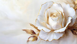 Fototapeta Tulipany - Fond abstrait, rose blanche. Papier peint. Décoration murale