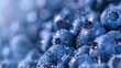 Closeup shot of Blueberries. Macro photo.