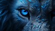 Blue lion look extreme close up photography.
